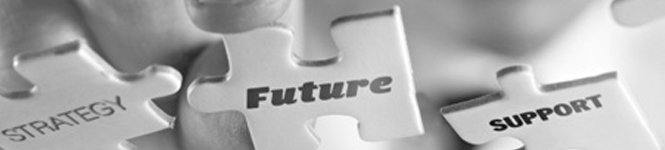 CORPORATE FINANCIAL MODELLING EXPERTS